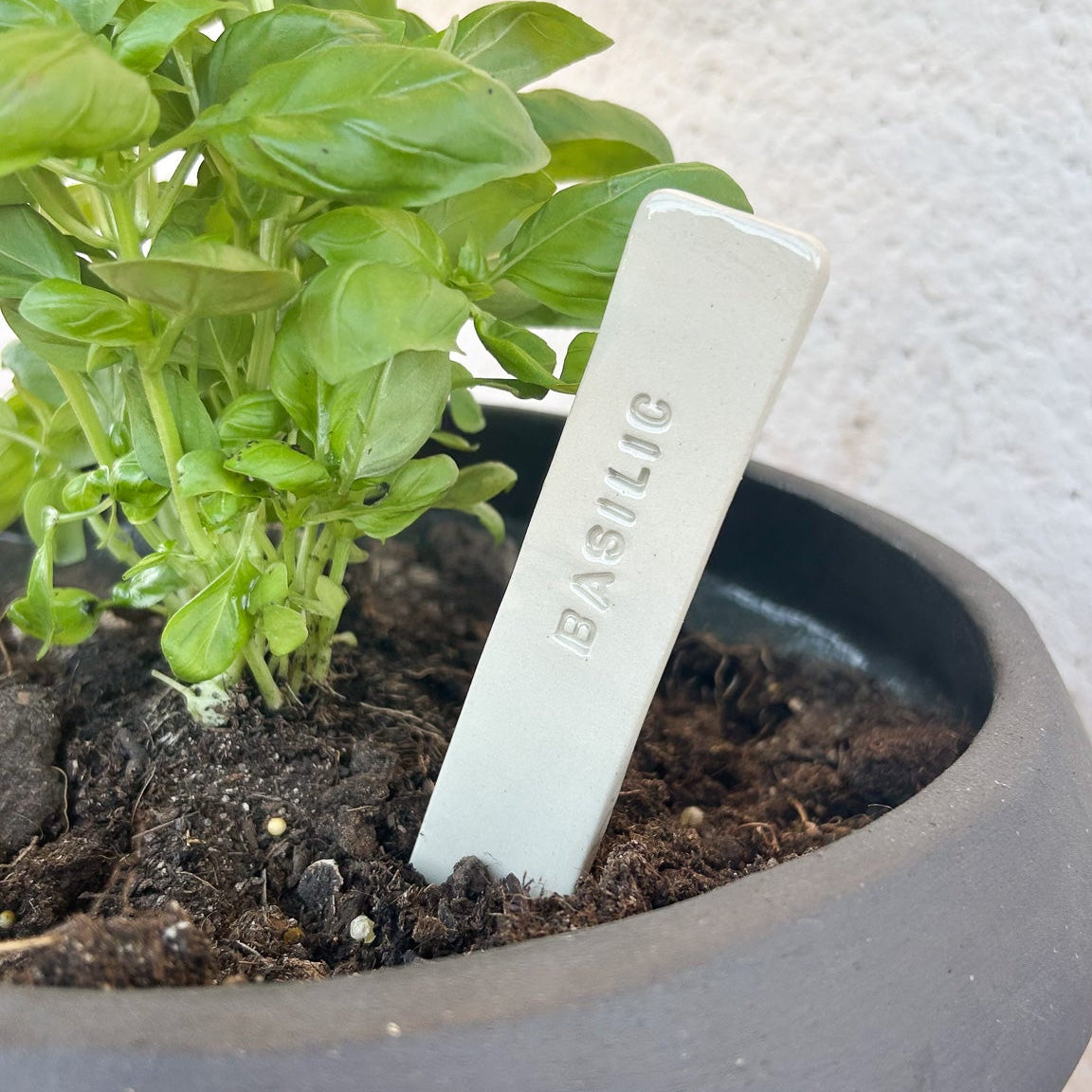 Etiquettes potager